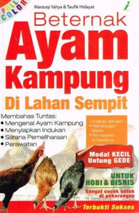 Image of Beternak Ayam Kampung Di Lahan Sempit